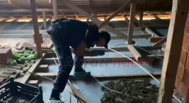 Sakarya'da uyuşturucu ve kaçakçılık operasyonları