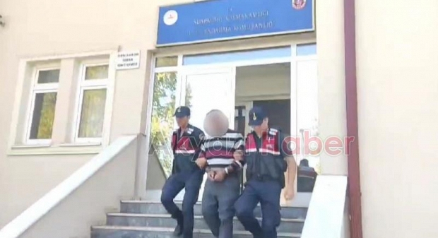 Tarla fareleri jandarmadan kaçamadılar