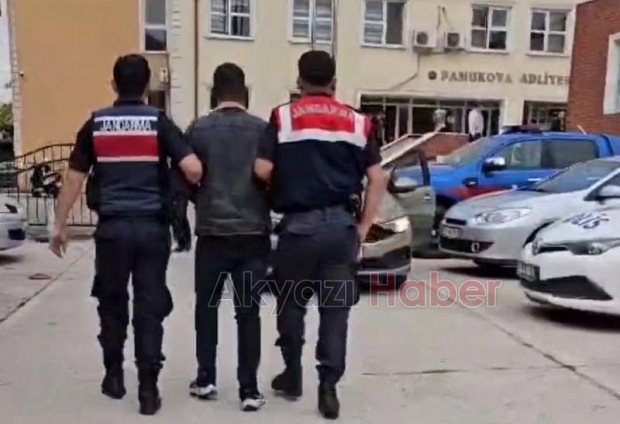 Tarla fareleri jandarmadan kaçamadılar