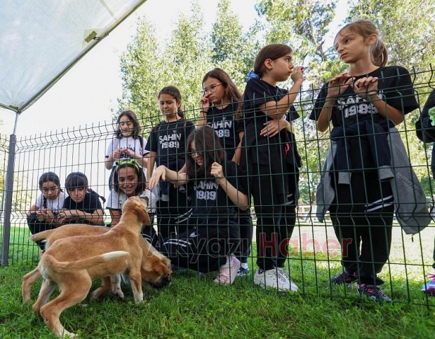 Sakarya'da Pati İzi Can Dostlar buluşması