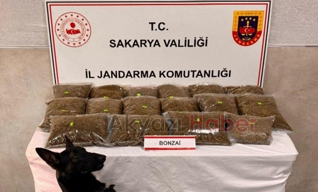 Akyazı'da uyuşturucu operasyonu
