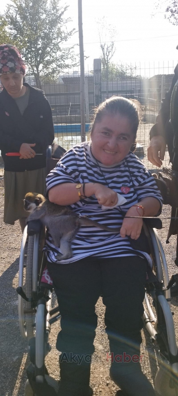 Akyazılı özel öğrenciler için hayvanat bahçesi gezisi