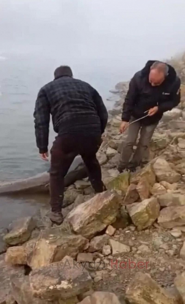 Sakarya Nehri'nde dev yayın balığı yakalandı