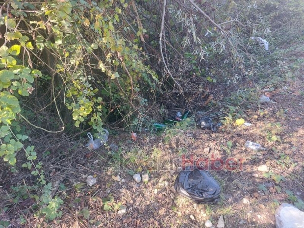 Alkol alırken dikenliğe düştü