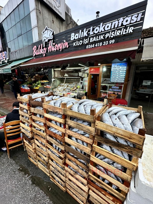 Akyazı balığa doyacak Balıkçı Hüseyin'den muhteşem kampanya