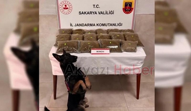21 kilogram bonzai ele geçirildi