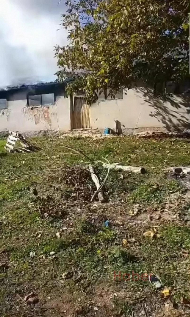 Tavuk çiftliğinde yangın