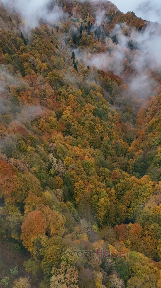 Çamdağı Sonbahar da ayrı bir güzel