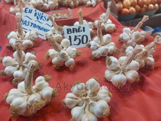 Akyazı pazarında sebze meyve fiyatları
