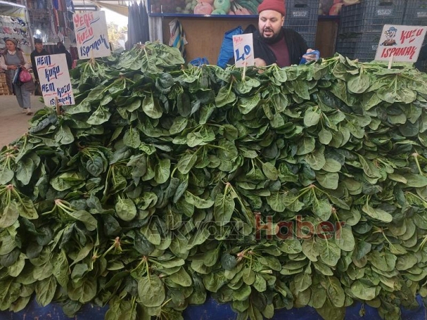 Akyazı pazarında sebze meyve fiyatları