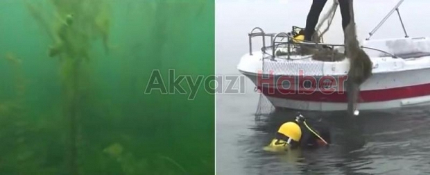 Sapanca Gölü'nde hayalet ağlar toplandı