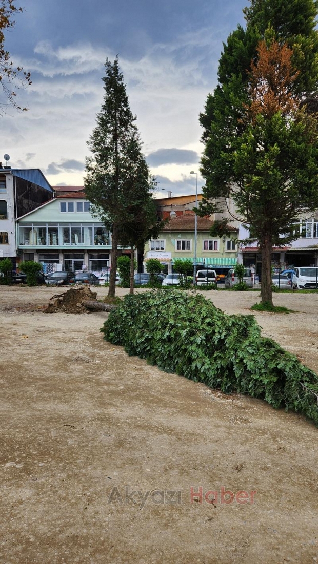 Fırtına parktaki ağacı yıktı