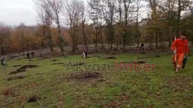 Akyazı ve Karapürçek'te orman işgali son buldu