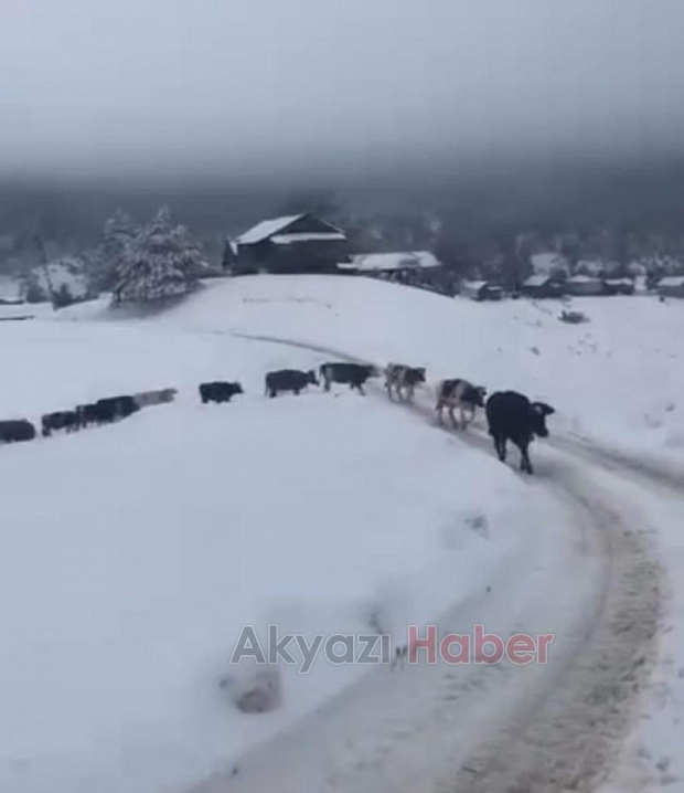 Akyazı'da yaylalardan dönüş başladı