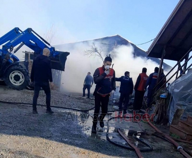 Ahır ve samanlık yangında kül oldu