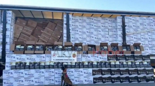 Sakarya'da kaçakçılık ve uyuşturucu operasyonları