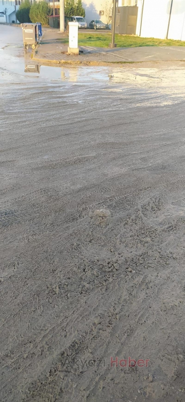 Sokak Halkı Yol Sorununa Çözüm Bekliyor