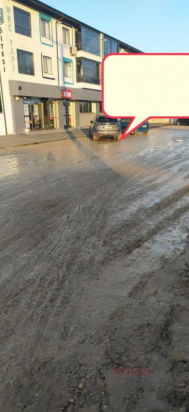 Sokak Halkı Yol Sorununa Çözüm Bekliyor