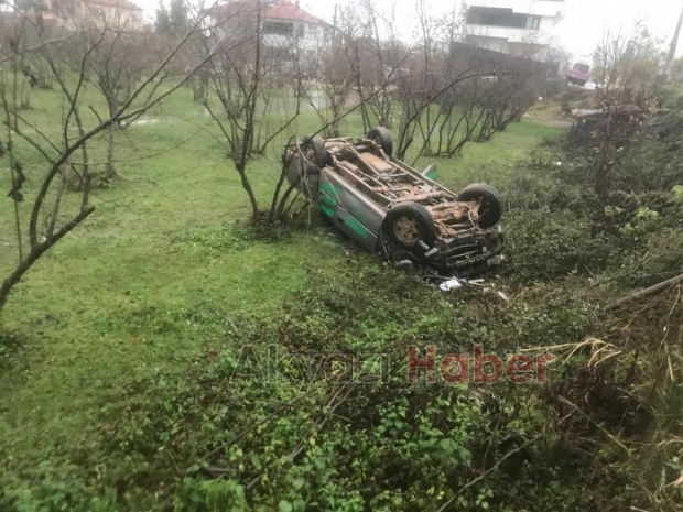 Orman işletme aracı kaza yaptı: 5 yaralı