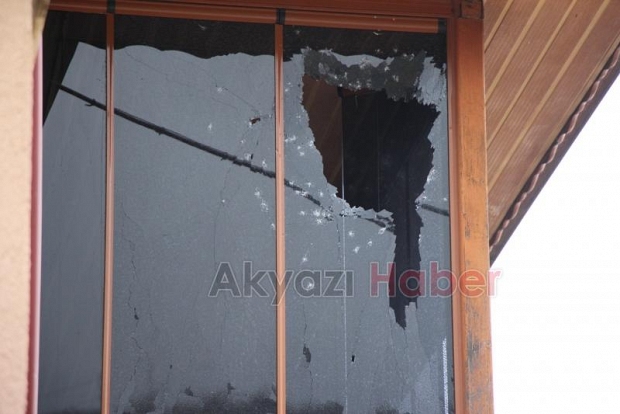 Annesinin horozlarını vermesine kızdı. 7 tavuğu tüfekle öldürdü.