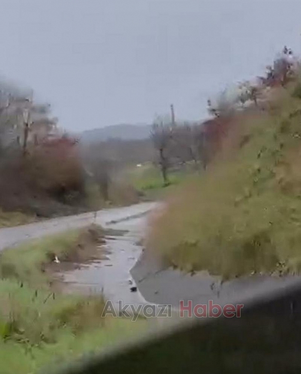 Kaynarca’da Kadın Cinayeti