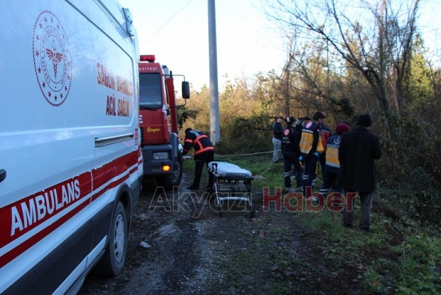 Otomobil dikenliğe uçtu 1 yaralı