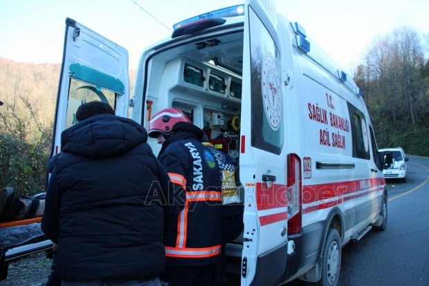 Otomobil dikenliğe uçtu 1 yaralı