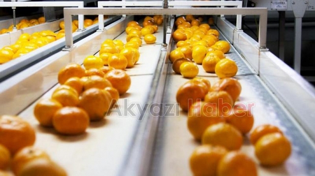 2024 de fiyatı en çok artan ürünler belli oldu