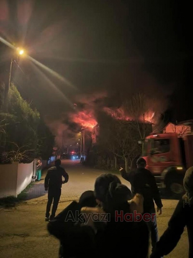 Akyazı'da ev alevlere teslim oldu