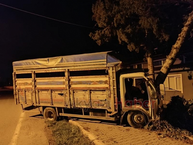 Ağaca Çarpan Kamyonetin Sürücüsü Araçta Sıkıştı