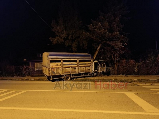 Ağaca Çarpan Kamyonetin Sürücüsü Araçta Sıkıştı