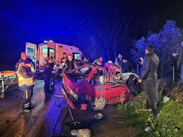Sakarya'ya mandalina getiren tır kaza yaptı: 1 ölü, 2 yaralı