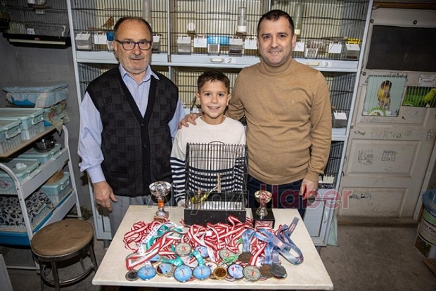 Baba ve oğlu şampiyon kanaryalar yetiştiriyor