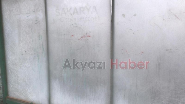 Akyazı buz kesti