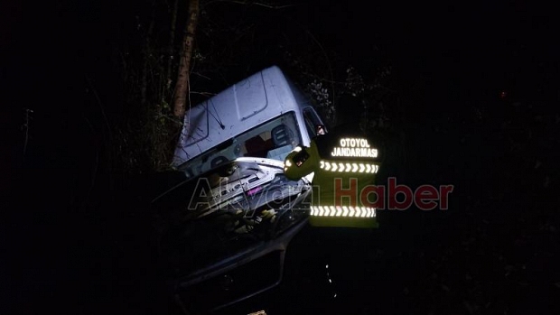 Panelvan minibüs kaza yaptı 2 yaralı