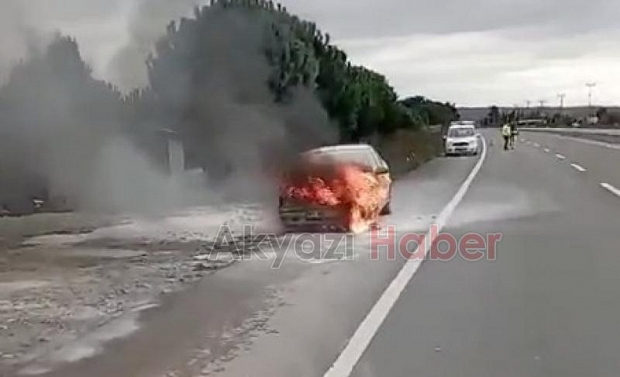 Otomobil alevlere teslim oldu
