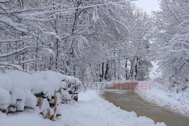 Sakarya'dan kar fotoğrafları