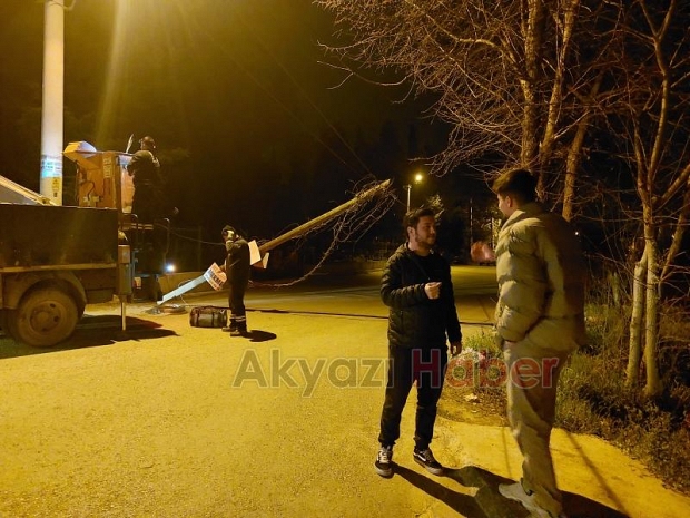 Ağaç direk devrildi