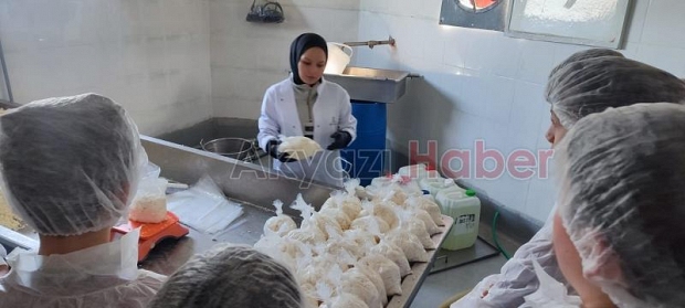 Geleceğin Profesyonelleri, Bugünden Sanayiyle Tanıştı! ÖSEL Projesinin Mart Ziyaretleri Sona Erdi