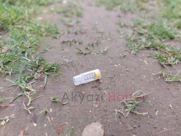 Belediye ekibi evin bahçesindeki sahipli hayvanı öldürdü