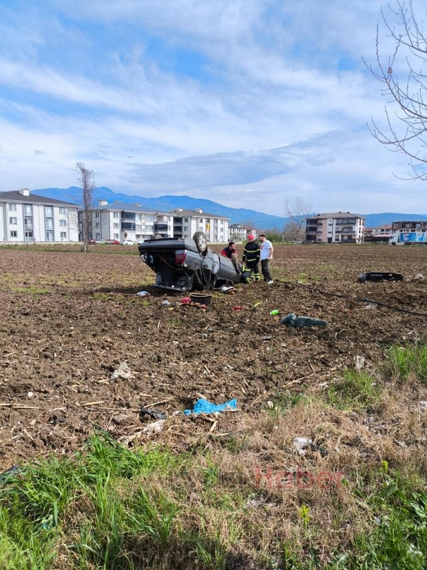 Ağaca çarpan araçtaki 2 kişi yaralandı