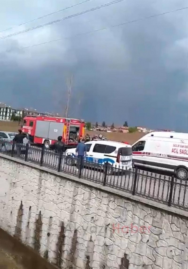 Ağaca çarpan araçtaki 2 kişi yaralandı