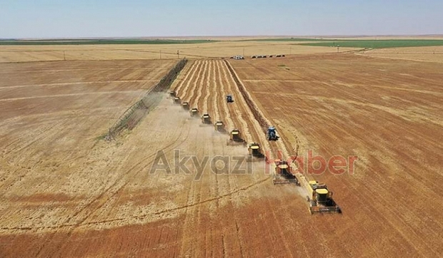İbrahim Yumaklı'dan 'zirai don' açıklaması: Gıda arzına ilişkin bir problem yok