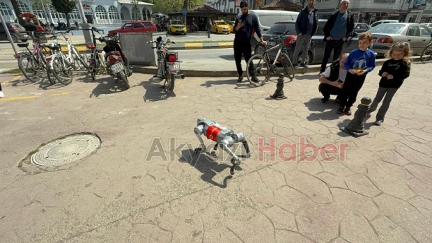 Robot Köpek Akyazılılarla Buluştu