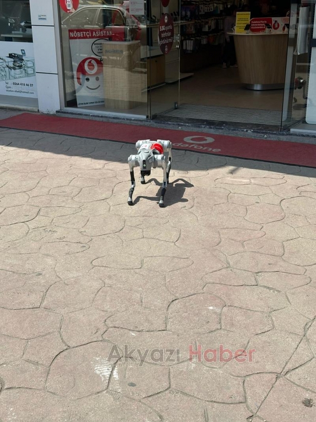 Robot Köpek Akyazılılarla Buluştu