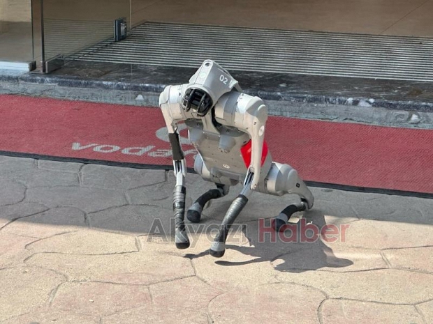 Robot Köpek Akyazılılarla Buluştu