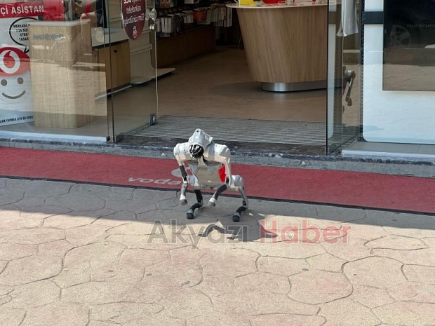 Robot Köpek Akyazılılarla Buluştu