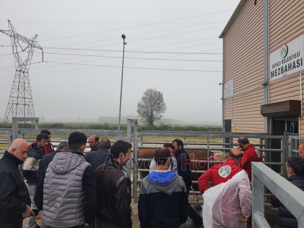 Akyazı'da kurban kesim kursu açıldı