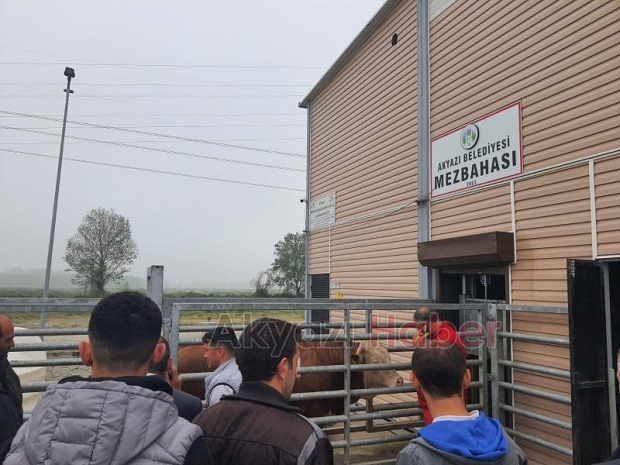 Akyazı'da kurban kesim kursu açıldı