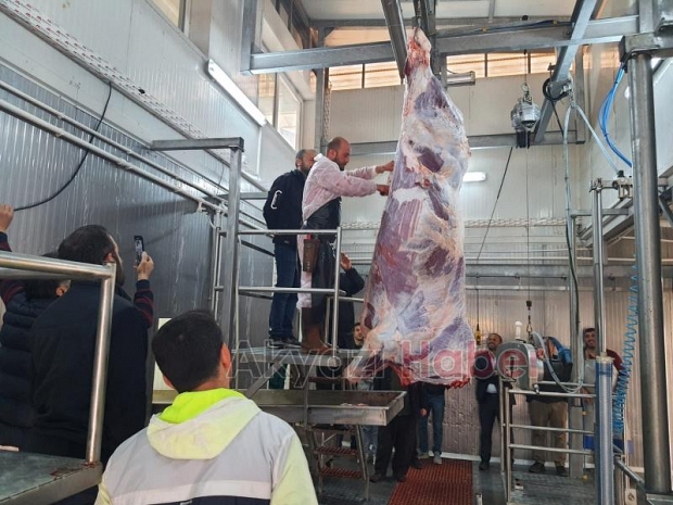 Akyazı'da kurban kesim kursu açıldı